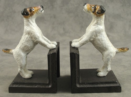 Pair jack russell fox - jack,