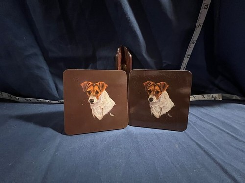 Pair jack russell terrier - of,