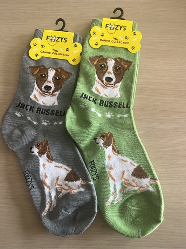Jack russell dog women - dog, women's