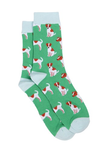 Jack russell dog - jack, green