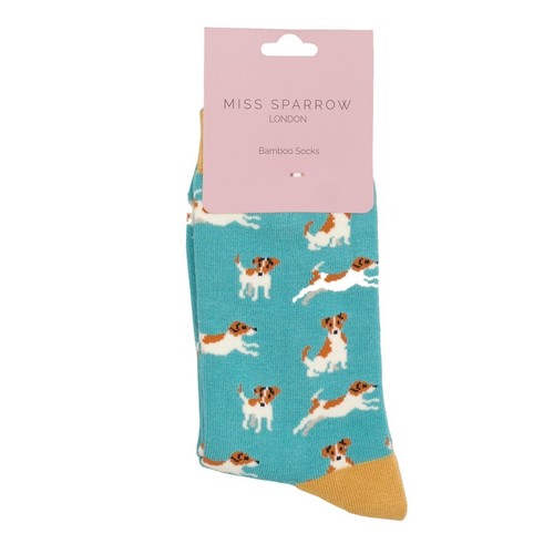 Miss sparrow jack russell - miss,