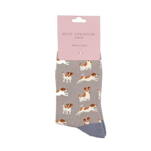 Miss sparrow jack russell - miss,