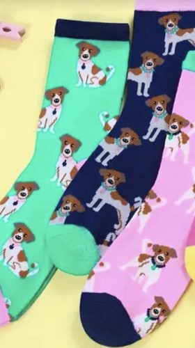 Womens ladies jack russell - ladies,