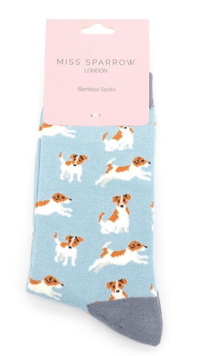 Miss sparrow jack russell - jack,