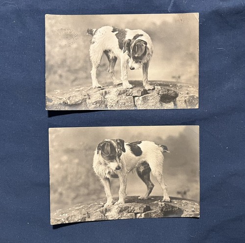 Jack russell terrier antique - terrier,