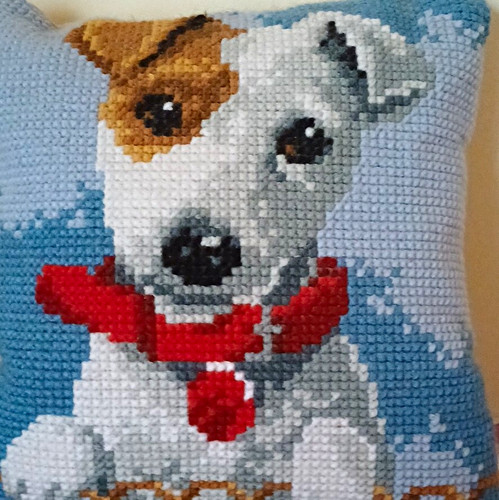 Jack russell cushion - jack,