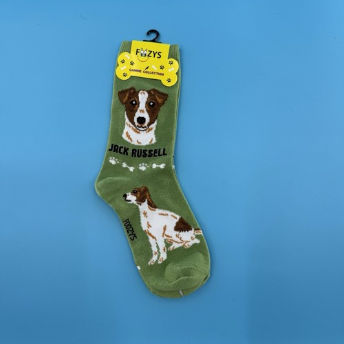 Foozys jack russell terrier - jack,