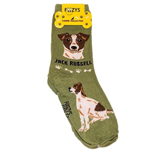 Jack russell foozys fun - russell,
