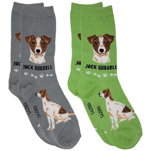 Jack russell detective dog - jack,